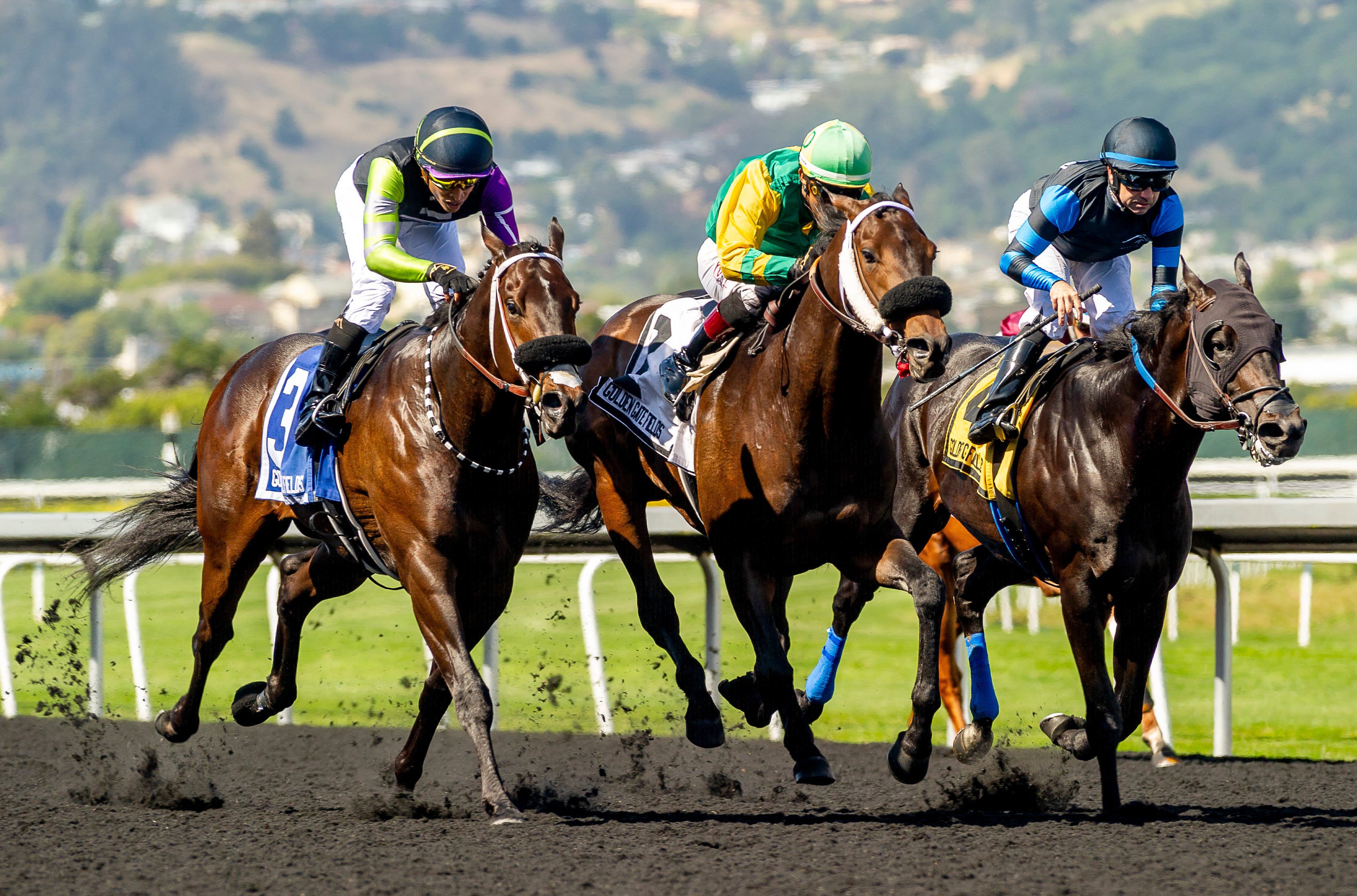 Brad Free s Santa Anita Horses To Watch For Week Of Feb 21 23 2025 Brad free s santa anita horses to watch for week of feb 21 23 2025